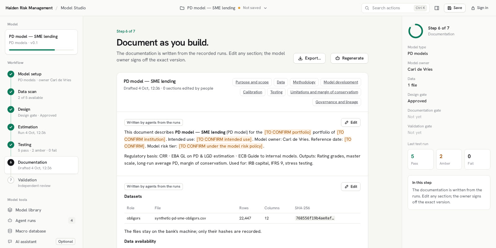 Documentation step: a model document drafted from the runs